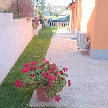 Shankini Apartament
